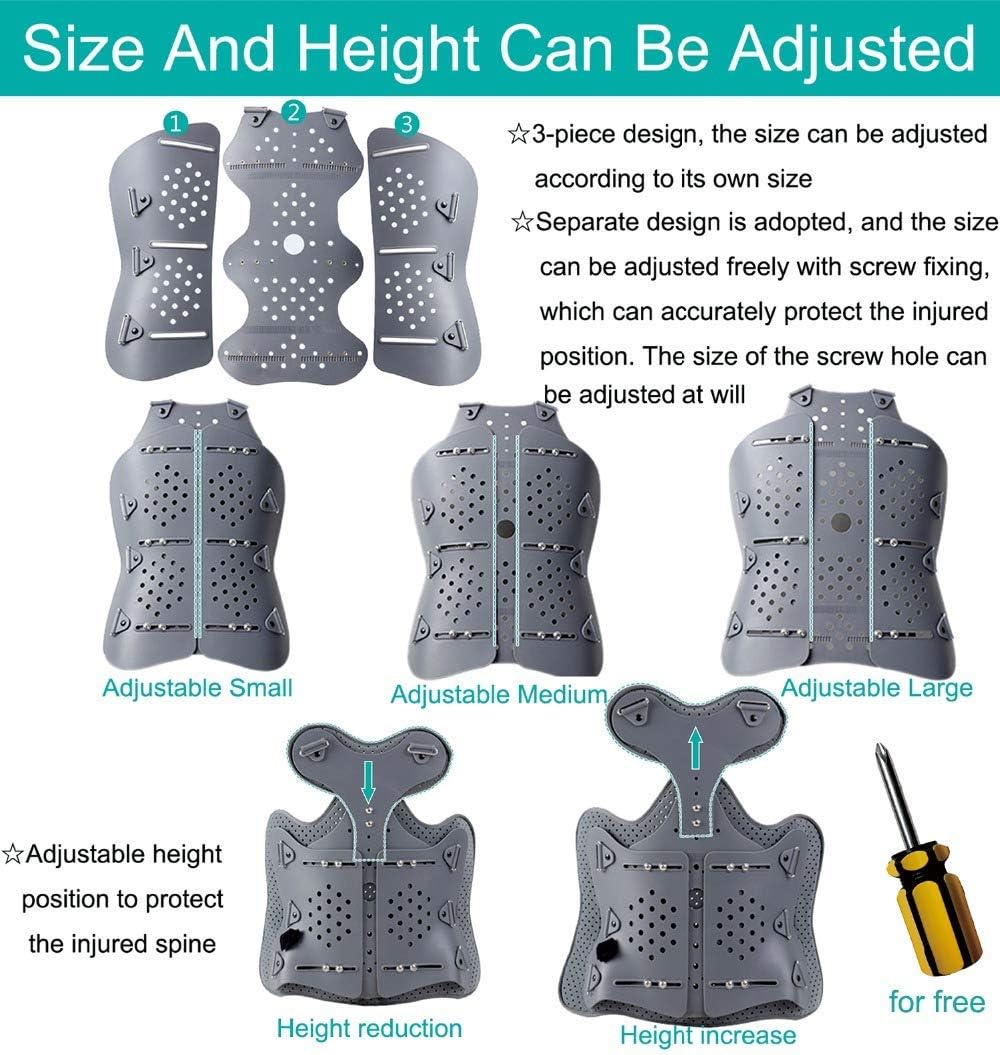 Thoraco-Lumbar Fixed Spinal Orthosis, Scoliosis , Thoracic Back Brace, Used for Kyphosis 501