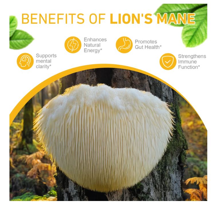 Lions Mane Mushroom Supplement Drops
